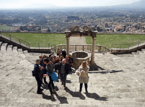 Visite ed Attività