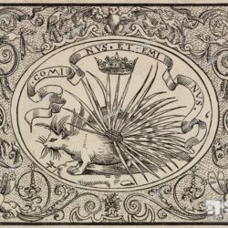 Animali VII / L'Istrice, il Porcospino, il Riccio