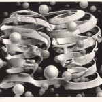 Mostra "Escher" - Palazzo Bonaparte